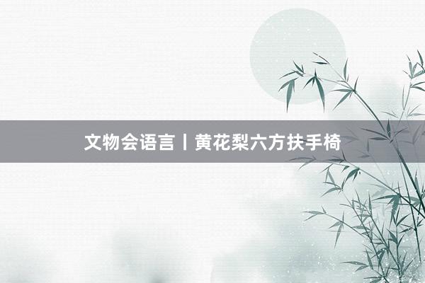 文物会语言丨黄花梨六方扶手椅