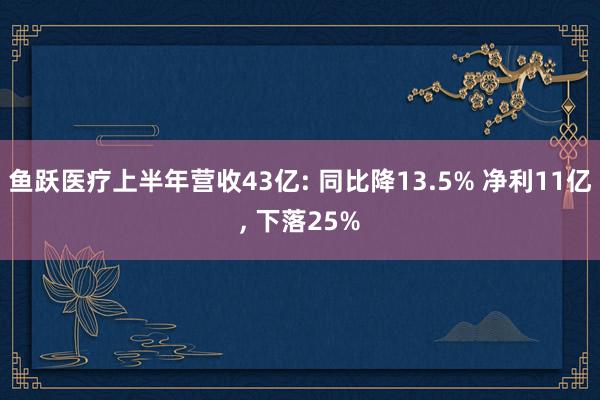 鱼跃医疗上半年营收43亿: 同比降13.5% 净利11亿, 下落25%