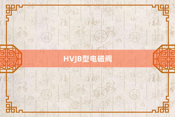 HVJB型电磁阀