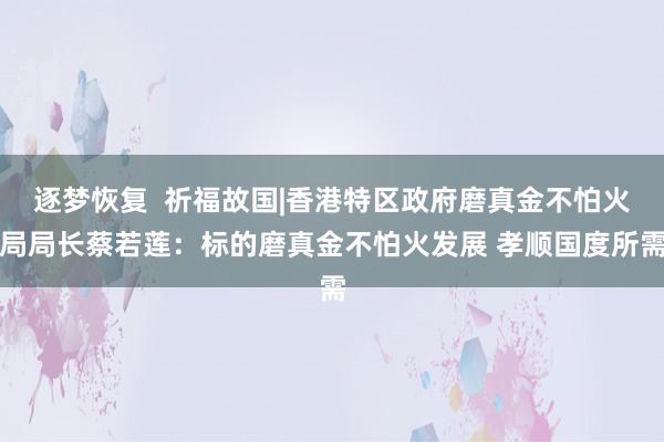 逐梦恢复  祈福故国|香港特区政府磨真金不怕火局局长蔡若莲：标的磨真金不怕火发展 孝顺国度所需