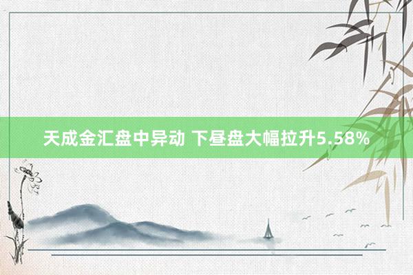 天成金汇盘中异动 下昼盘大幅拉升5.58%